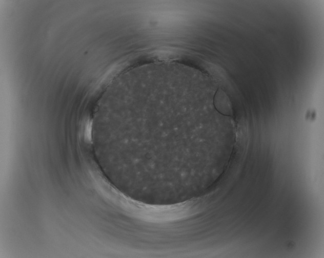 X0000113080046200909111014