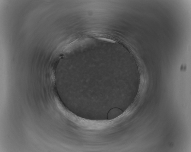 X0000113080048200909111014