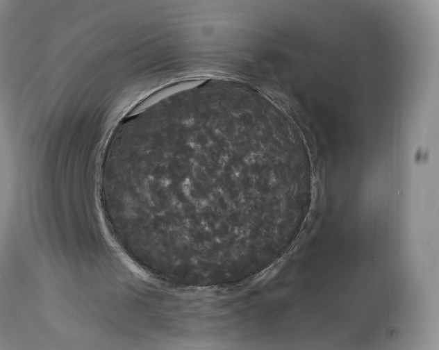 X0000113080049200909111013