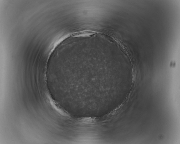 X0000113080050200909111013