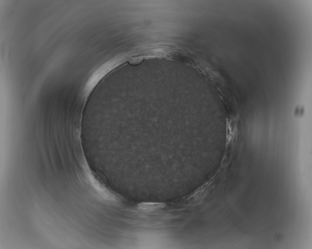 X0000113080051200909111013