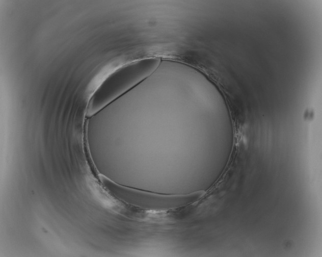 X0000113080052200909111013