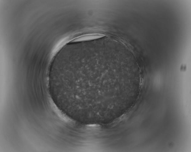 X0000113080053200909111013