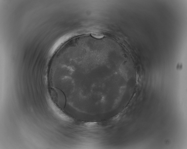 X0000113080054200909111013