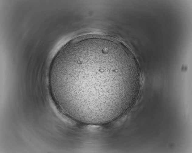 X0000113080055200909111013