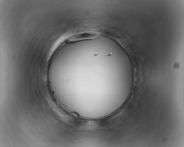 X0000113080056200909111013