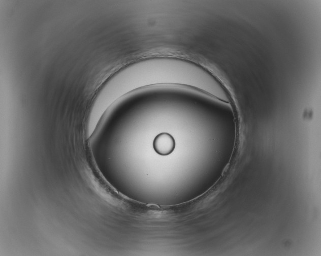 X0000113080057200909111013