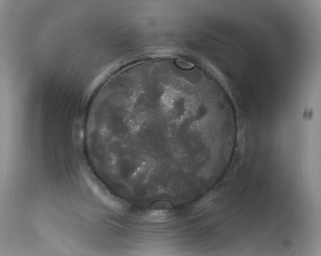 X0000113080059200909111013