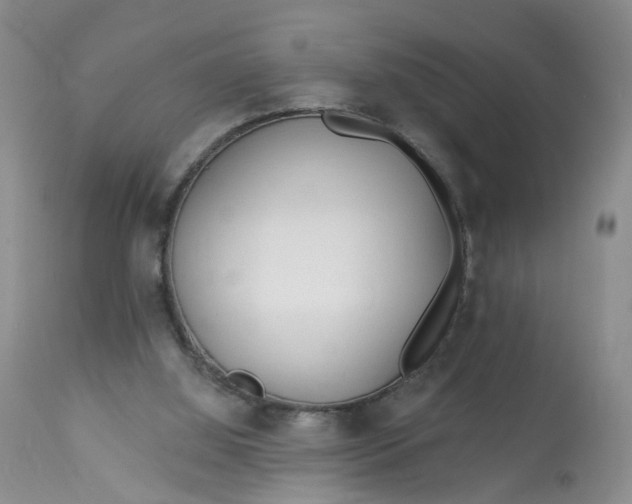 X0000113080060200909111013