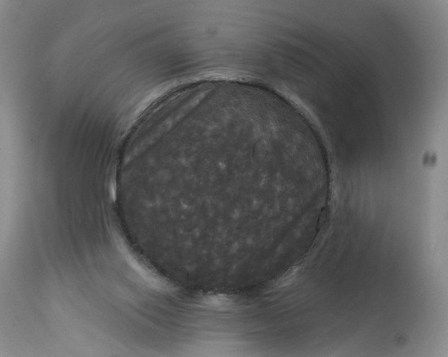 X0000113080062200909111013