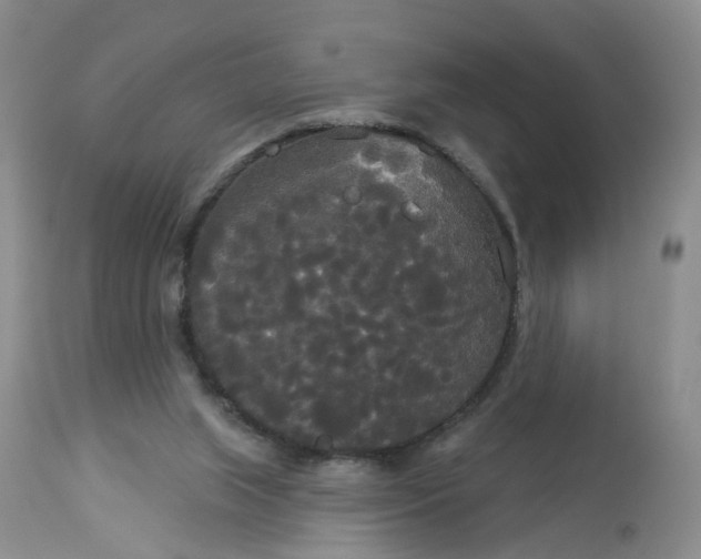 X0000113080063200909111013