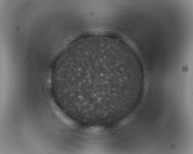 X0000113080065200909111013