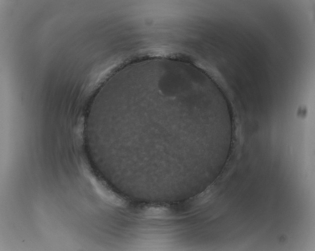 X0000113080066200909111013