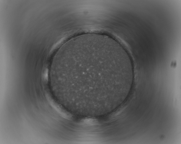 X0000113080067200909111013