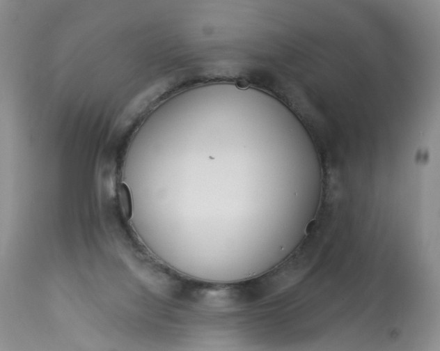 X0000113080068200909111013