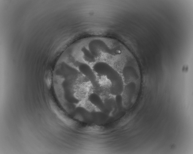 X0000113080069200909111013