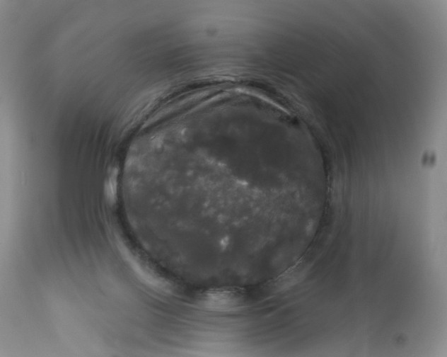 X0000113080070200909111013