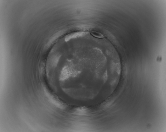 X0000113080071200909111013