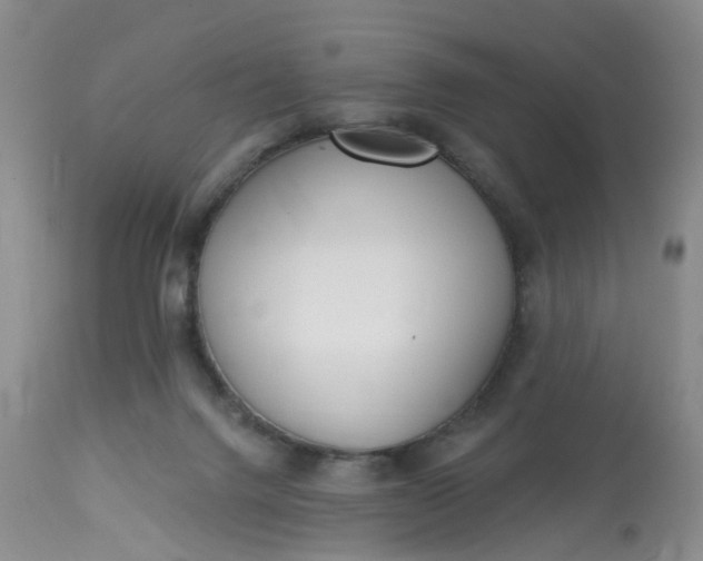 X0000113080072200909111013