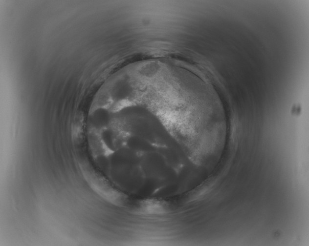 X0000113080073200909111013