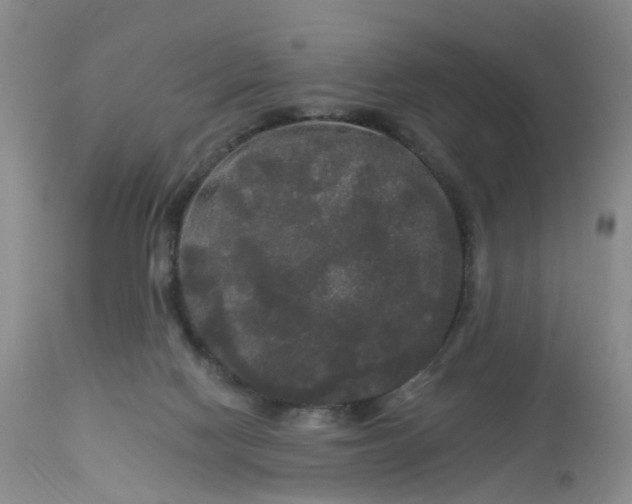 X0000113080074200909111013