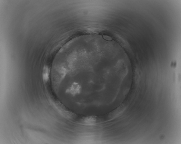 X0000113080075200909111013