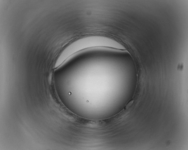 X0000113080076200909111013