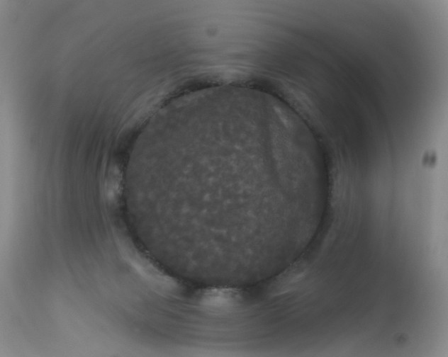 X0000113080077200909111013