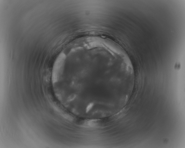 X0000113080078200909111013