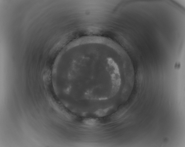 X0000113080079200909111013