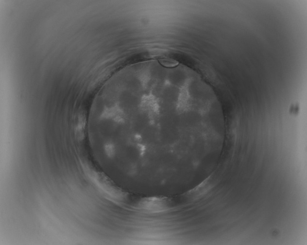 X0000113080082200909111014