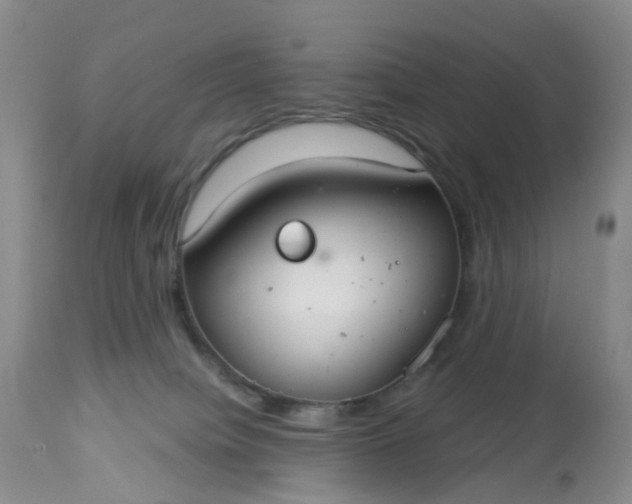 X0000113080084200909111014