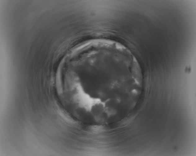 X0000113080085200909111014