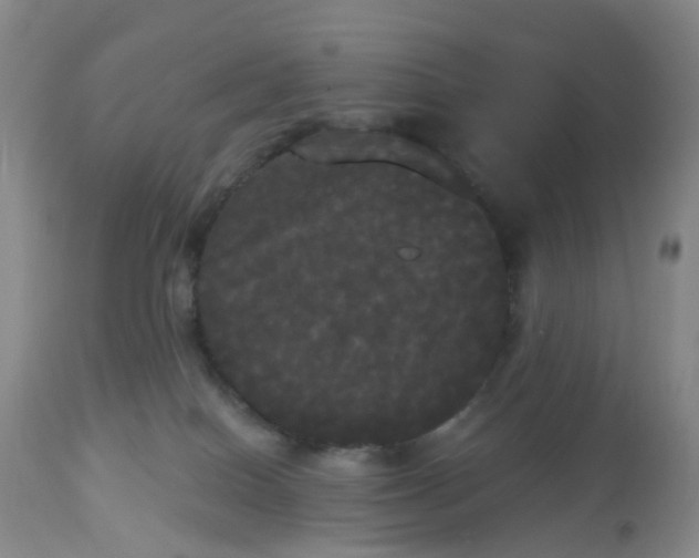 X0000113080086200909111014