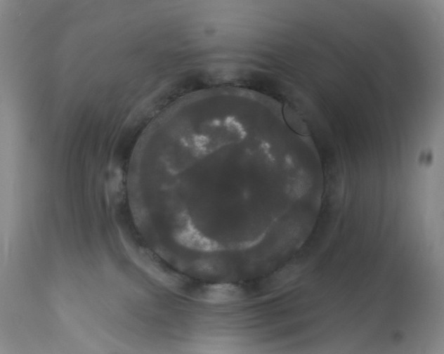 X0000113080087200909111014