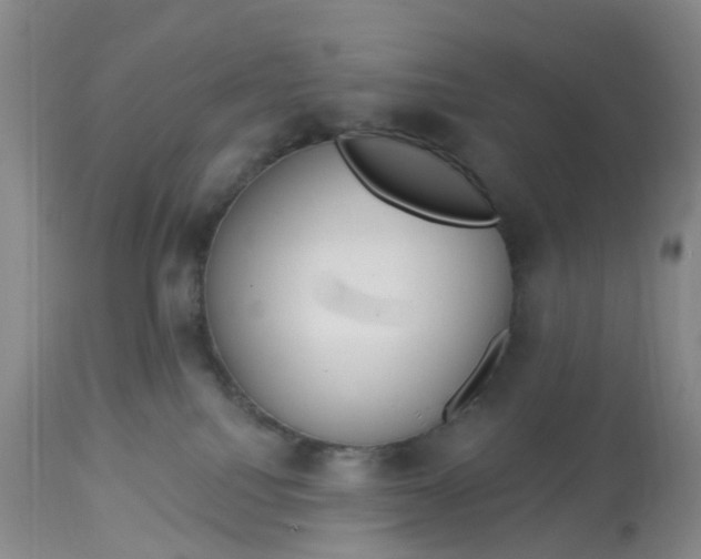 X0000113080088200909111014