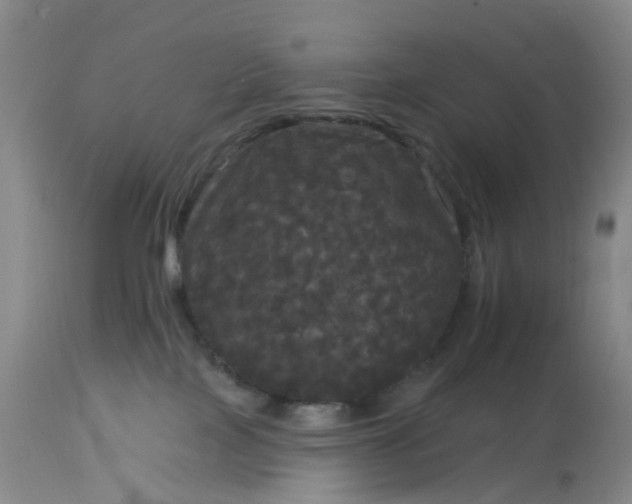 X0000113080089200909111014