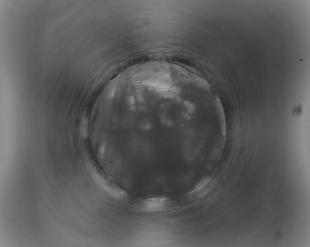 X0000113080090200909111014