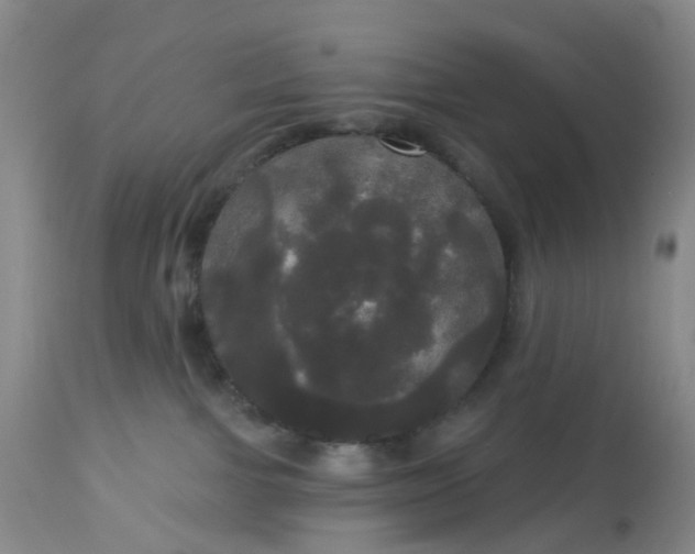 X0000113080091200909111014