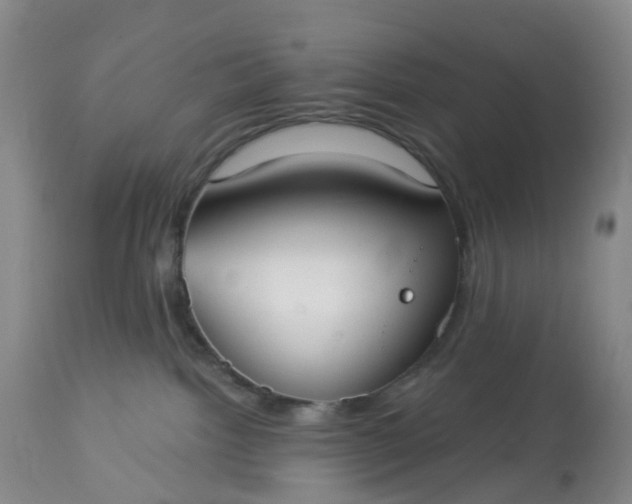 X0000113080092200909111014