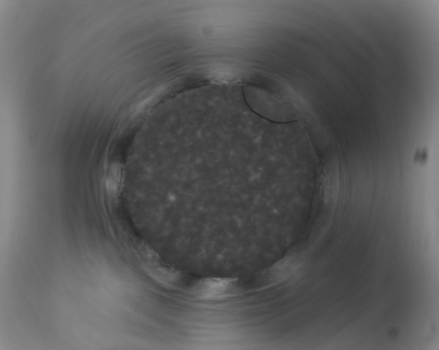 X0000113080093200909111014