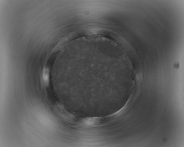 X0000113080094200909111014