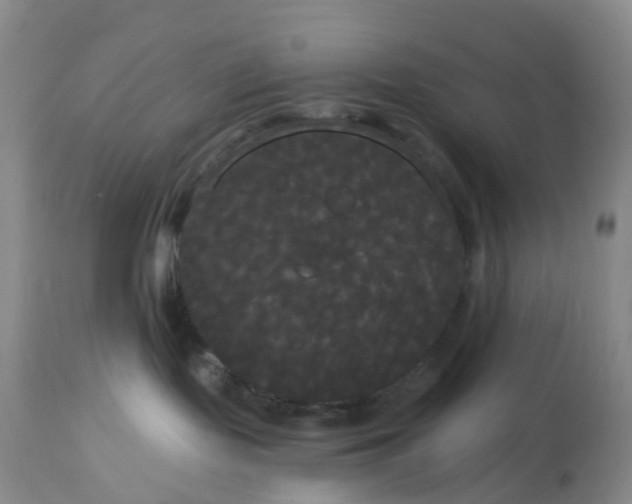 X0000113080095200909111014