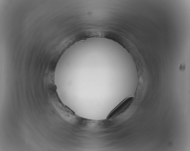 X0000113080096200909111014