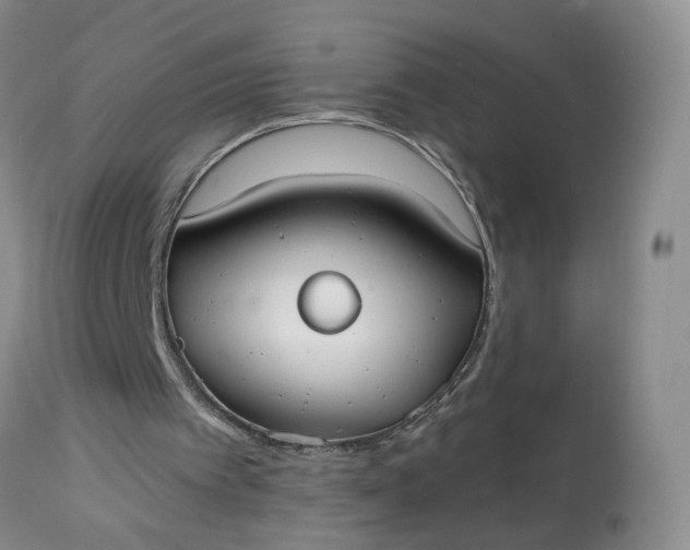 X0000113080097200909111013