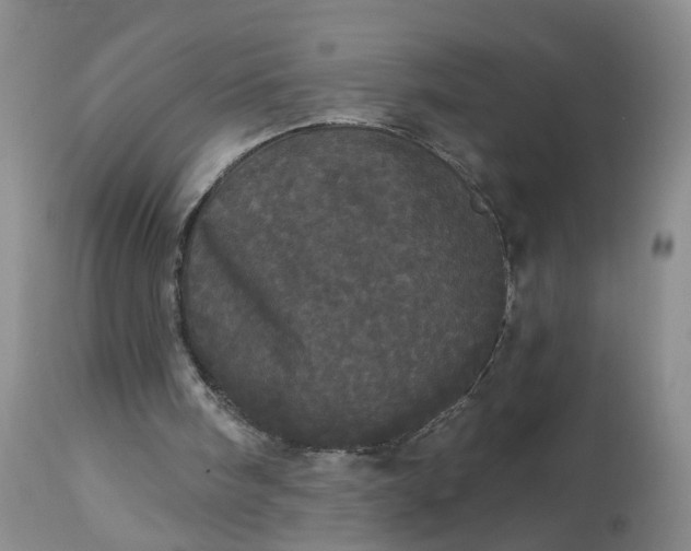 X0000113080098200909111013