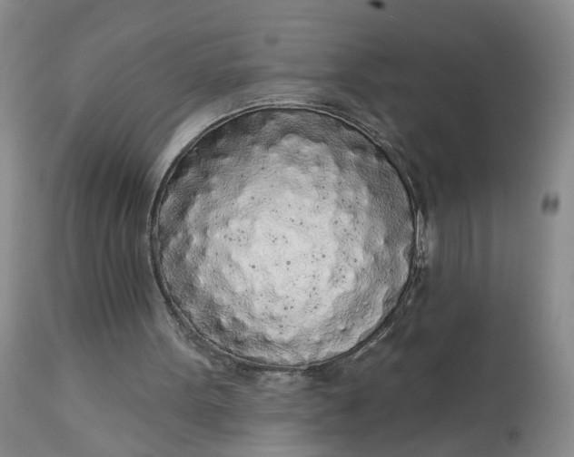 X0000113080099200909111013