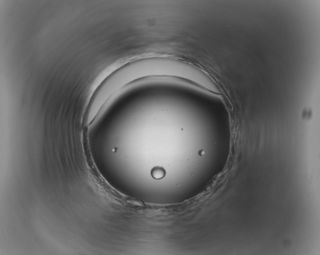 X0000113080100200909111013