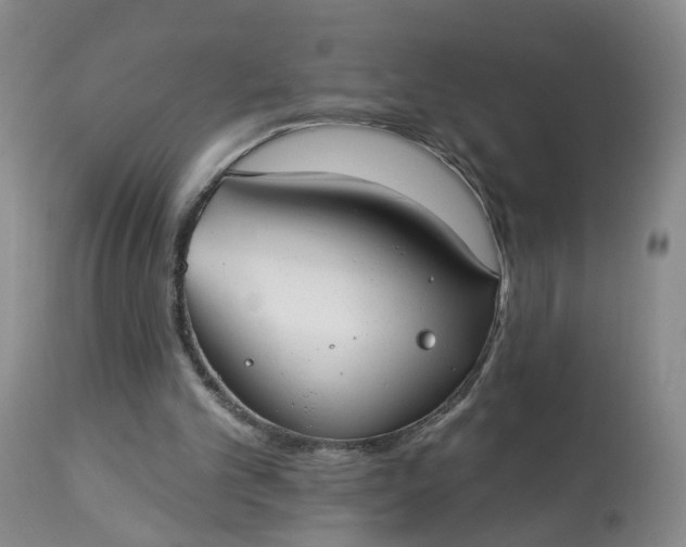 X0000113080101200909111013