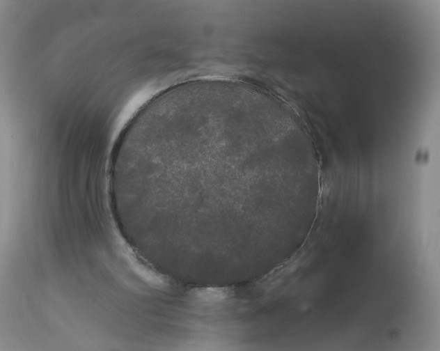 X0000113080102200909111013